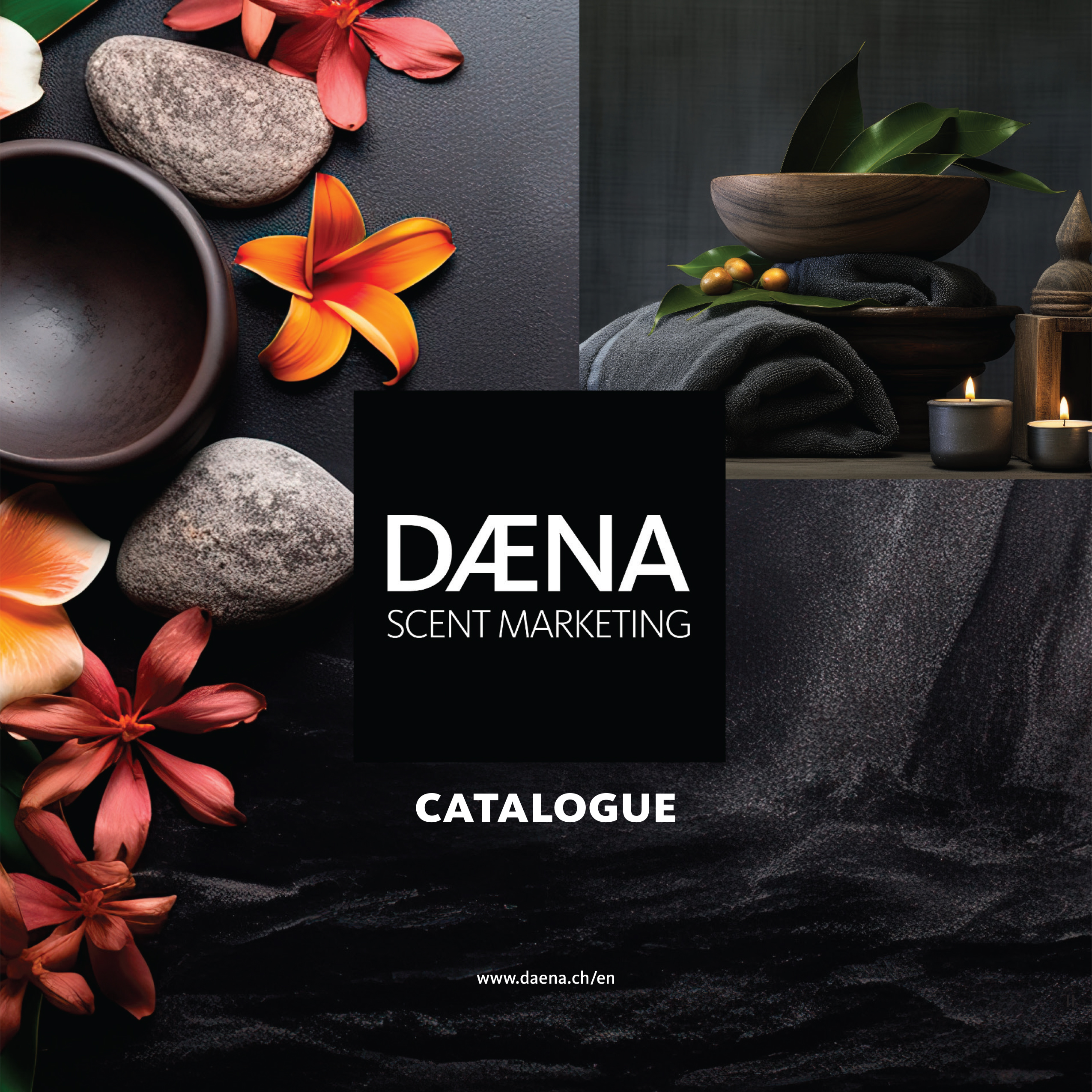 DAENA catalogue page